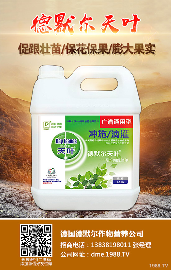 松茸的營(yíng)養(yǎng)價(jià)值有哪些，松茸的功效與作用，食用禁忌！
