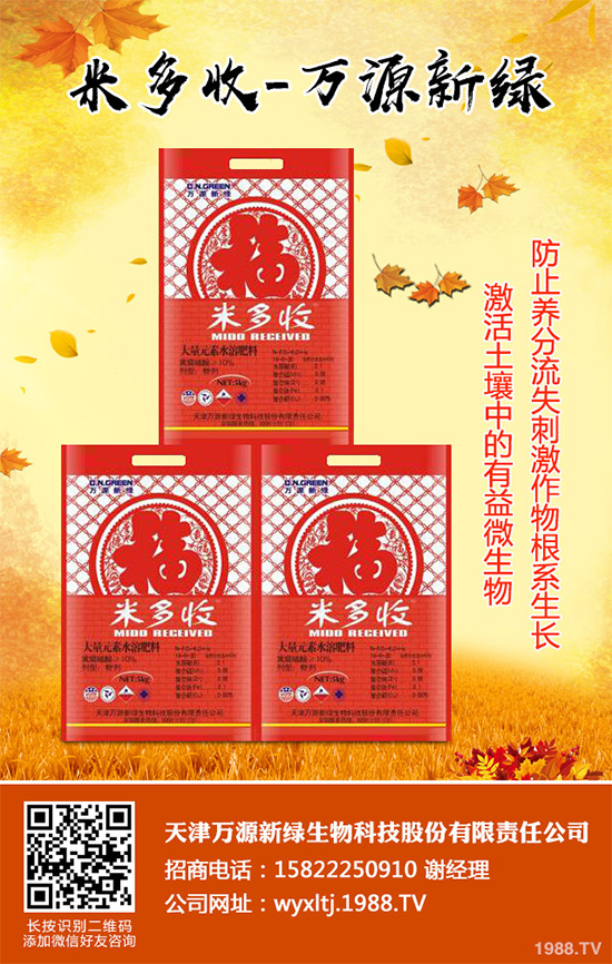 萵苣霜霉病危害這么大，你知道該如何防治嗎？萵苣霜霉病防治方法