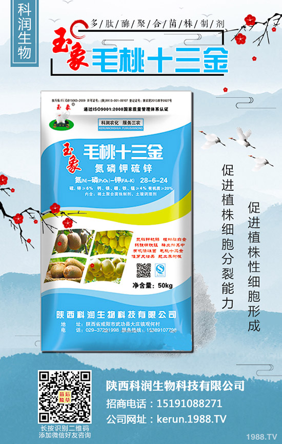     大蔥秋季什么時間種植合適？大蔥秋季種植時間及種植技術！