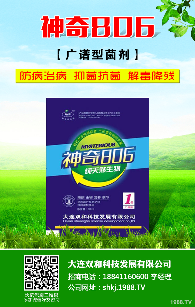 如何防治核桃常見病蟲害？核桃常見病蟲害防治技巧