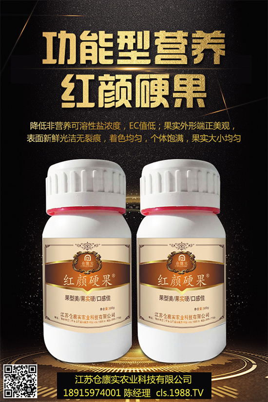 西蘭花什么時(shí)候種植？該怎么種？2019年西蘭花種植前景分析