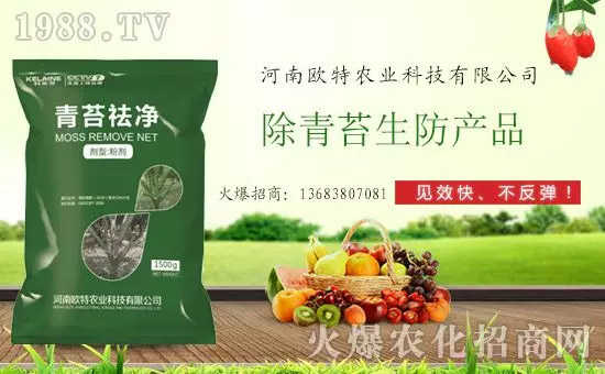 神奇除青苔劑！，不反彈！干凈，青苔無蹤！