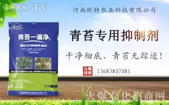 神奇除青苔劑！，不反彈！干凈，青苔無蹤！