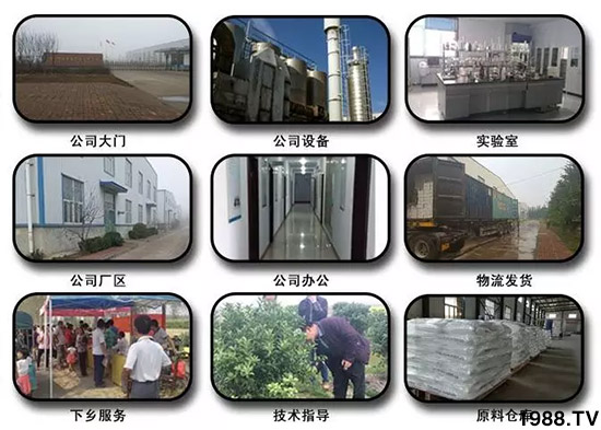 神奇除青苔劑！，不反彈！干凈，青苔無蹤！