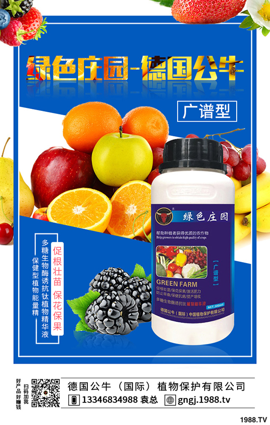 如何種植紫薯更高產(chǎn)，紫薯的種植方法與前景！