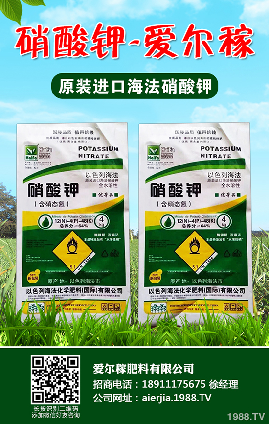 常吃蘆筍對人體有哪些好處？蘆筍的功效作用及營養(yǎng)價值