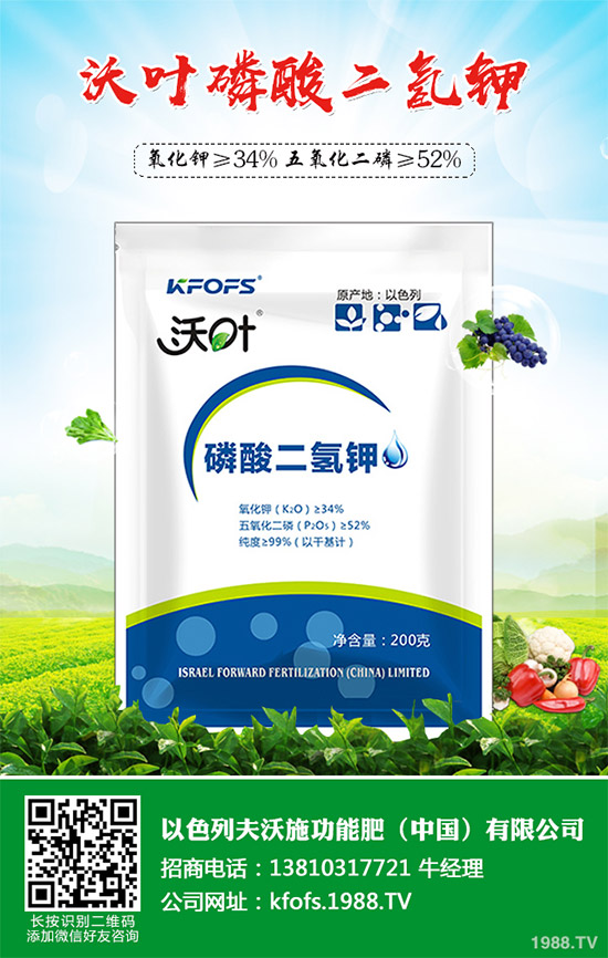 芹菜病毒病有哪些危害？該如何防治？芹菜病毒病的危害與防治