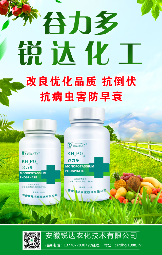 �����J�_�r�����g���޹�˾