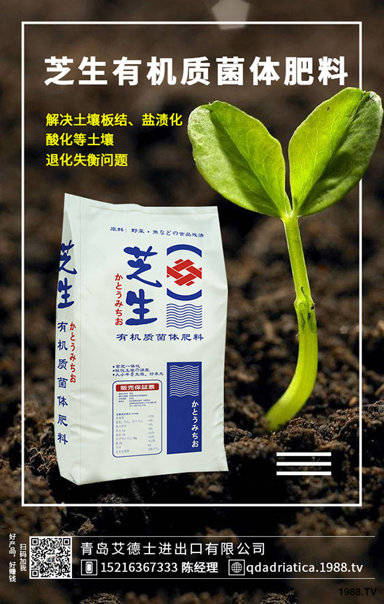 櫻桃有哪些營養(yǎng)價(jià)值，櫻桃的功效與作用是什么，如何選購？