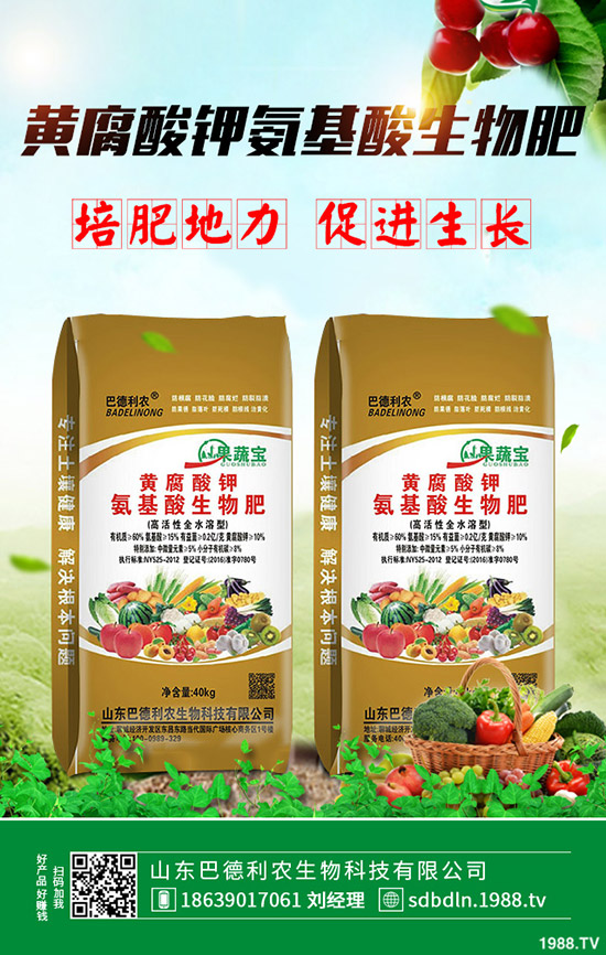     2020年魔芋種植怎么樣？種植前景好么？種植成本、利潤有多少？