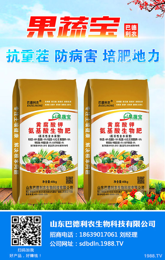     懶人1月份適合養(yǎng)殖哪些花卉？一月種哪些好看好養(yǎng)寓花卉？