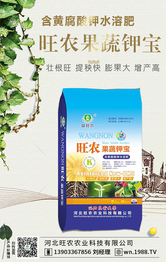 郁金香生長(zhǎng)習(xí)性有哪些？郁金香養(yǎng)護(hù)要點(diǎn)！