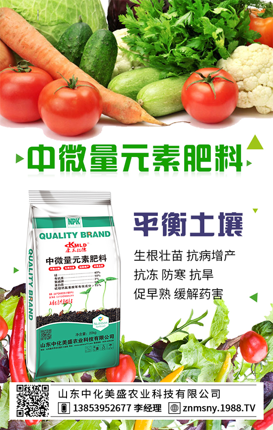 扁豆的營養(yǎng)成分，扁豆的食用禁忌！