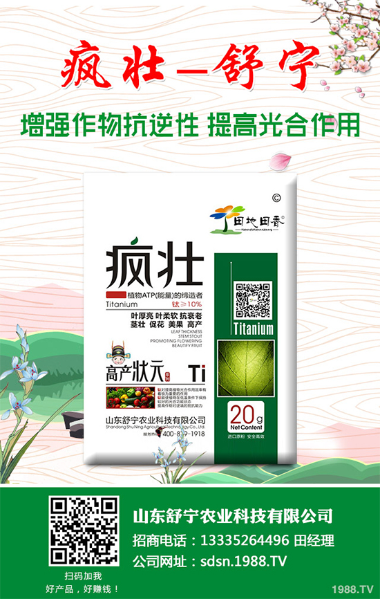 種植香菇需要投入多少？香菇種植成本利潤分析