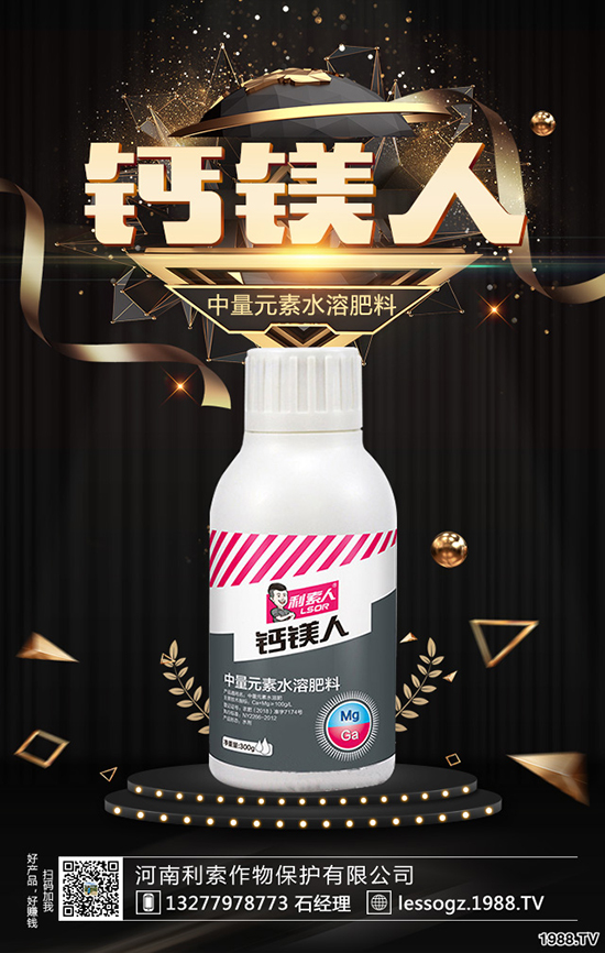 白菜價格多少錢一斤？白菜畝產(chǎn)多少斤？種植前景怎么樣？