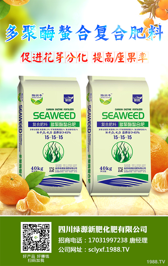 冬季南瓜該如何種植？反季南瓜大棚種植技術(shù)