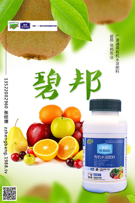 春季甘藍該如何種植？春甘藍高產(chǎn)管理技術(shù)