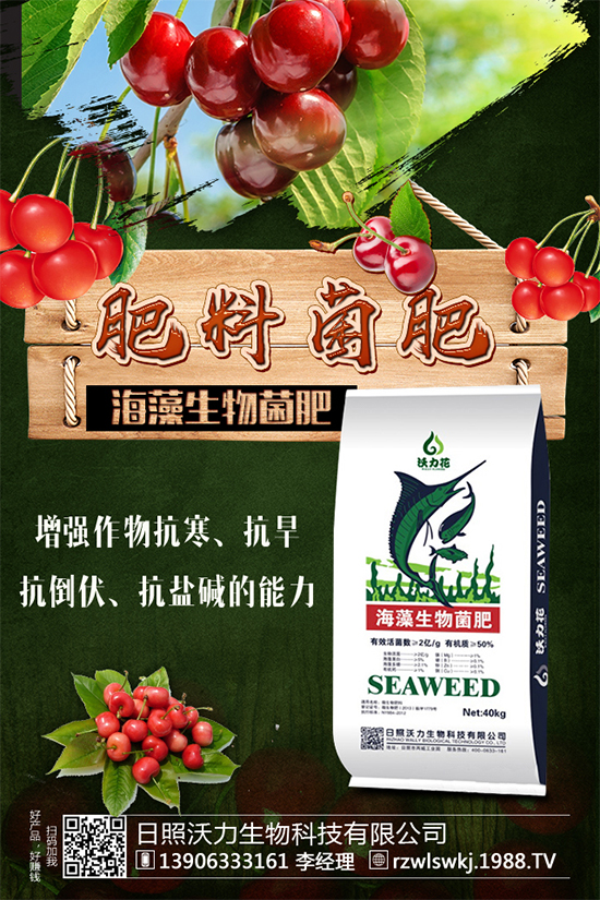 芒果種植需要哪些條件？芒果種子剝殼催芽技術(shù)！