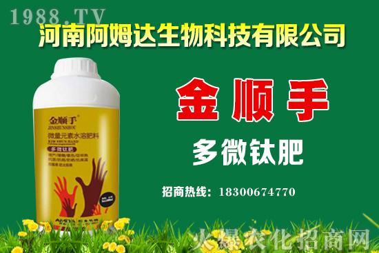 空心菜種植要點有哪些？空心菜又該怎么留種？