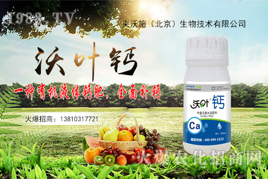 花生還會再漲嗎？2020年10月20日花生價格行情