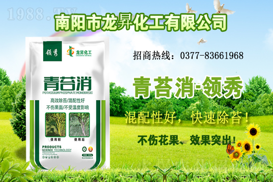 大豆供不應求，價格持續(xù)上漲！各地大豆價格行情