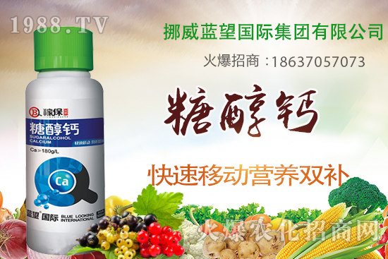 草莓缺鈣有哪些原因呢？草莓缺鈣癥狀及補救措施