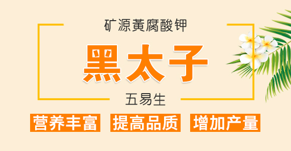 50g��������-��ʩ��_01