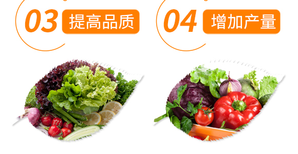 硅谷氨基酸型大量元素水溶肥料12-42-10+TE-沃森特_07