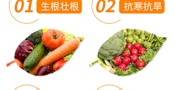 硅谷氨基酸型大量元素水溶肥料12-42-10+TE-沃森特_06