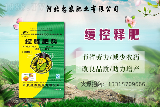 大蒜的產(chǎn)地在哪？種一畝地大蒜要用多少蒜種？畝產(chǎn)量是多少斤？