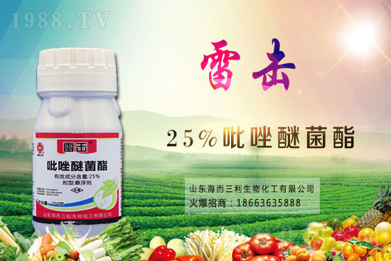 魔芋價(jià)格多少錢一斤？2021年魔芋種植前景如何？