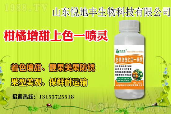 今年水稻價格多少錢一斤？水稻價格為何上漲？