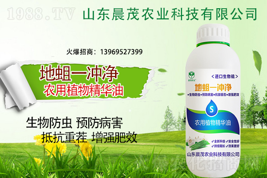 地蛆難防也要治，地蛆的防治要點(diǎn)