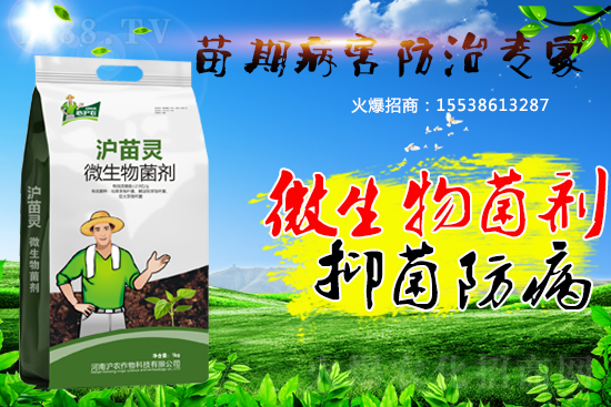作物苗期病害“致命傷”，基本的預(yù)防方法您會了嗎？