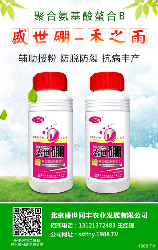 如何促進(jìn)西瓜種子發(fā)芽？西瓜種子發(fā)芽要注意哪些問題