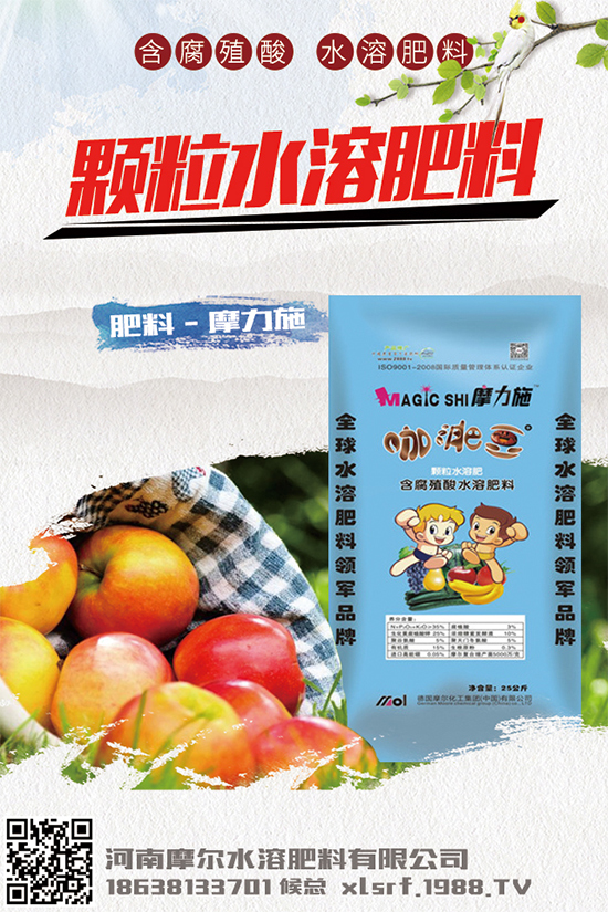 種植白術(shù)掙錢(qián)嗎？2020白術(shù)種植前景及效益分析