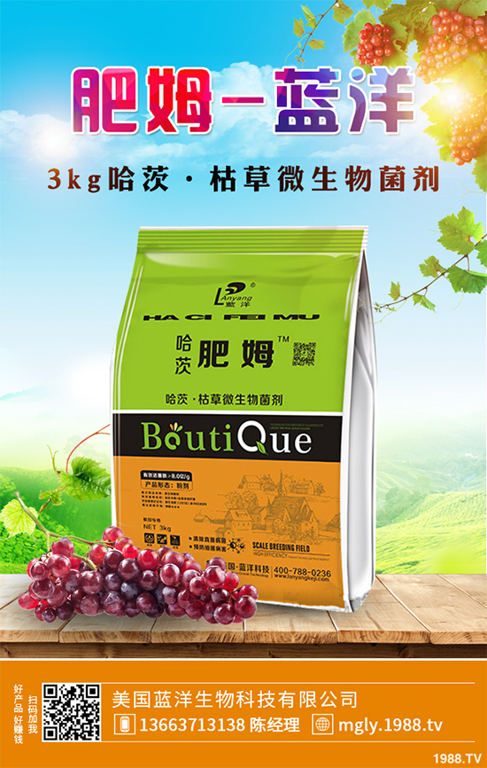 花椒樹該如何種植？三步幫你輕松種出高產(chǎn)花椒！