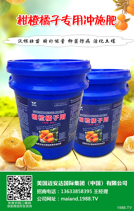 花椒樹該如何種植？三步幫你輕松種出高產(chǎn)花椒！