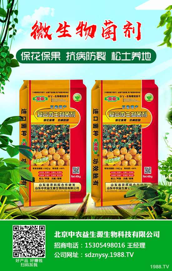     鉀肥國內(nèi)市場持續(xù)走穩(wěn)！今日最新鉀肥價格行情日報2020-3-27