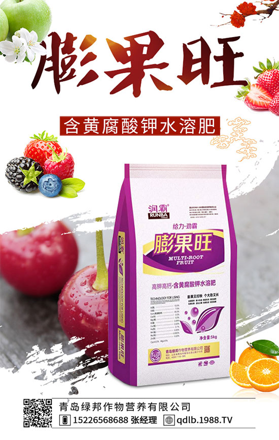 四季豆落花落莢是什么原因？四季豆落花落莢預(yù)防措施！