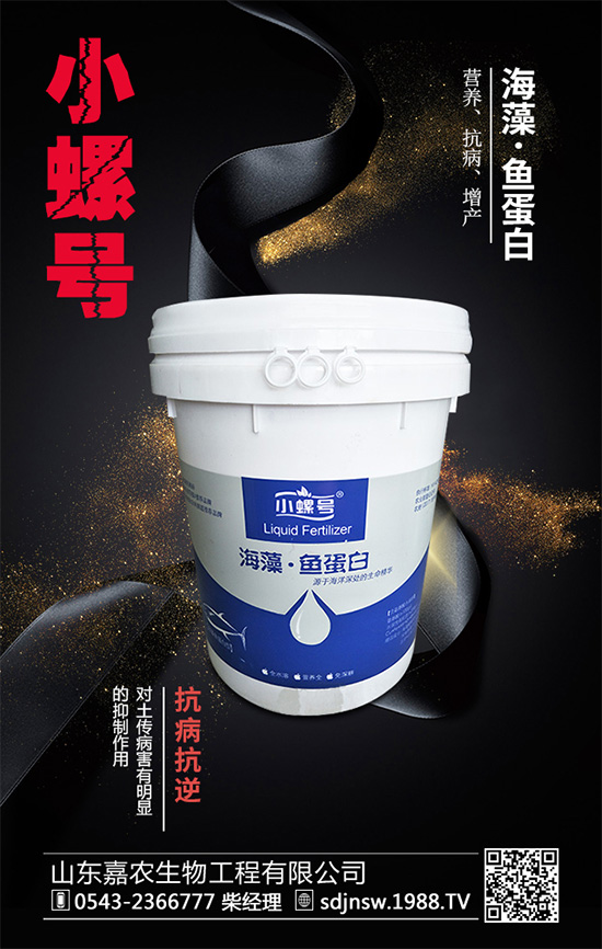 露地茄子該如何種植？茄子春季種植管理技術(shù)要點(diǎn)