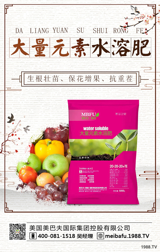 向日葵對種植條件有哪些？花菜的種植管理要點(diǎn)！