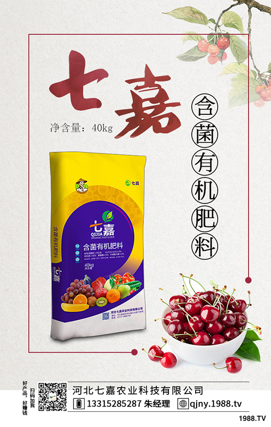 洋桔梗為什么種植難在哪里？洋桔梗種植難點及對策