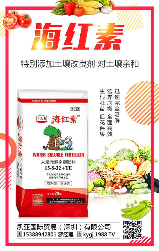 辣椒種植發(fā)展的現(xiàn)狀如何？辣椒高產(chǎn)種植技術(shù)要點(diǎn)！