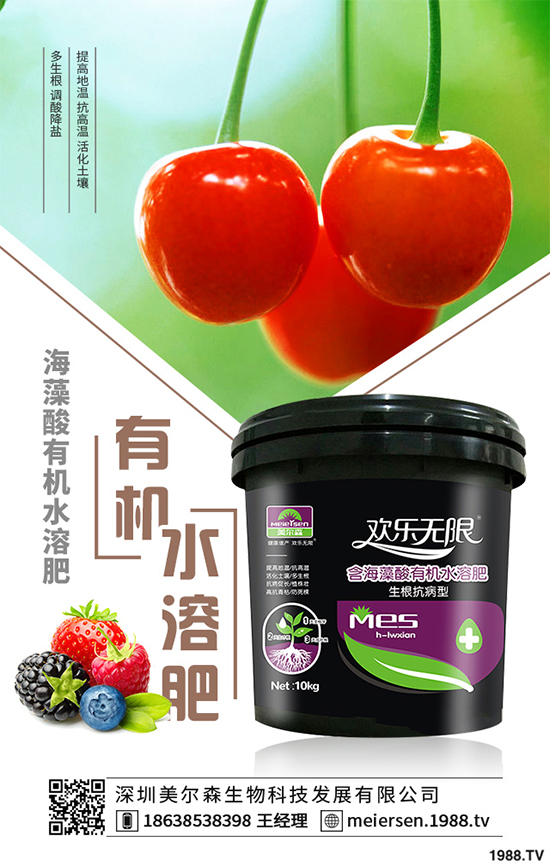 楊梅的品種有哪些？該如何栽培？春季楊梅種植技術(shù)