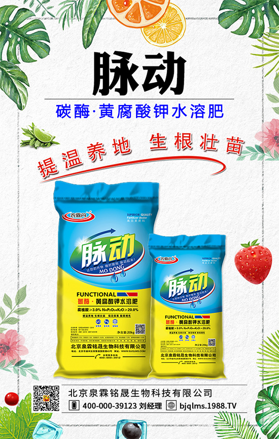 蒲公英藥用價(jià)值有哪些？蒲公英作用及功效！