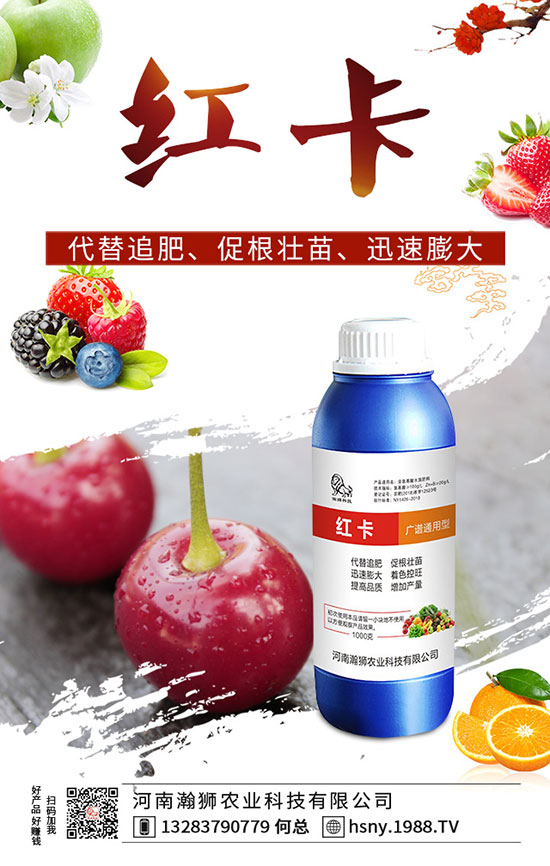 辣椒出苗后如何管理？辣椒出苗后移栽技術(shù)要點