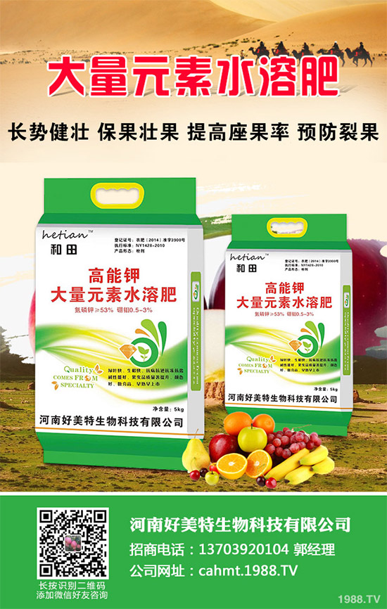 細(xì)香蔥如何種植才能高產(chǎn)？需要注意什么？這五個(gè)小技巧分享一下！