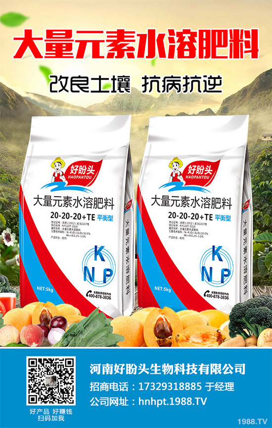 無花果有哪些營養(yǎng)價(jià)值？無花果的功效作用及食用禁忌