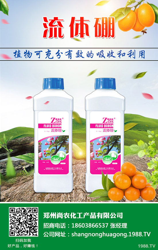     葫蘆瓜的種植條件有哪些，葫蘆育苗技術(shù)及種植方法！